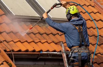 Démoussage et hydrofuge de toiture à Ambutrix